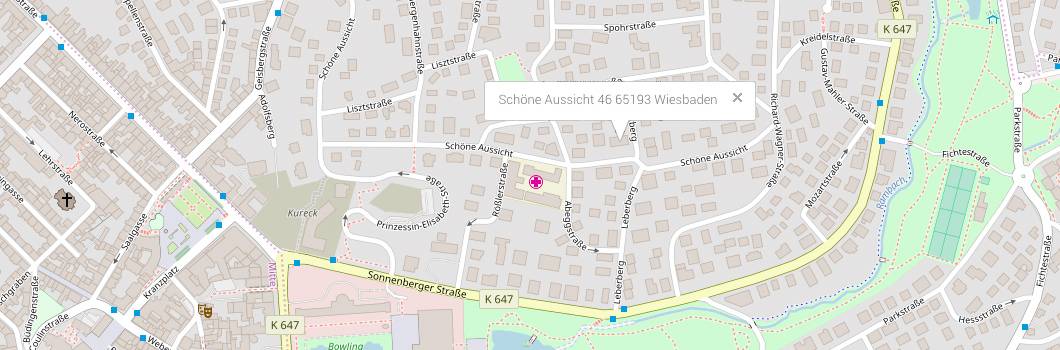 Stadtkarte-Wiesbaden-Gesund und Schön